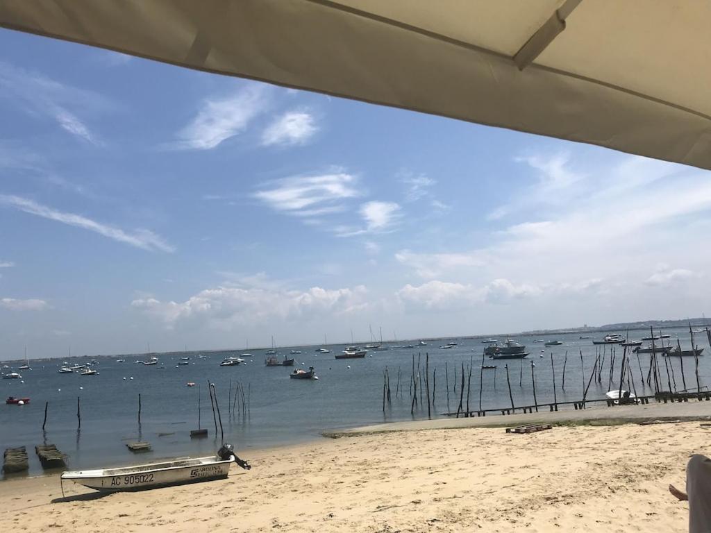 Ville Les Flots Bleus Proche Golf Arcachon La Teste-de-Buch Eksteriør bilde